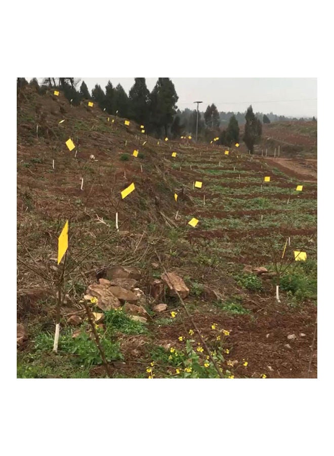 NIBEMINENT 20-Piece Dual-Sided Sticky Traps Yellow - Image 4