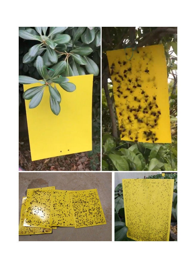 NIBEMINENT 20-Piece Dual-Sided Sticky Traps Yellow - Image 3