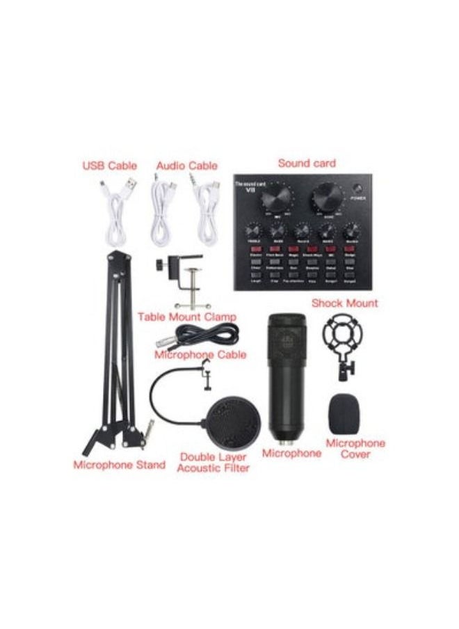 V8 Multi-functional Live Sound Card + Microphone Set  - Image 3