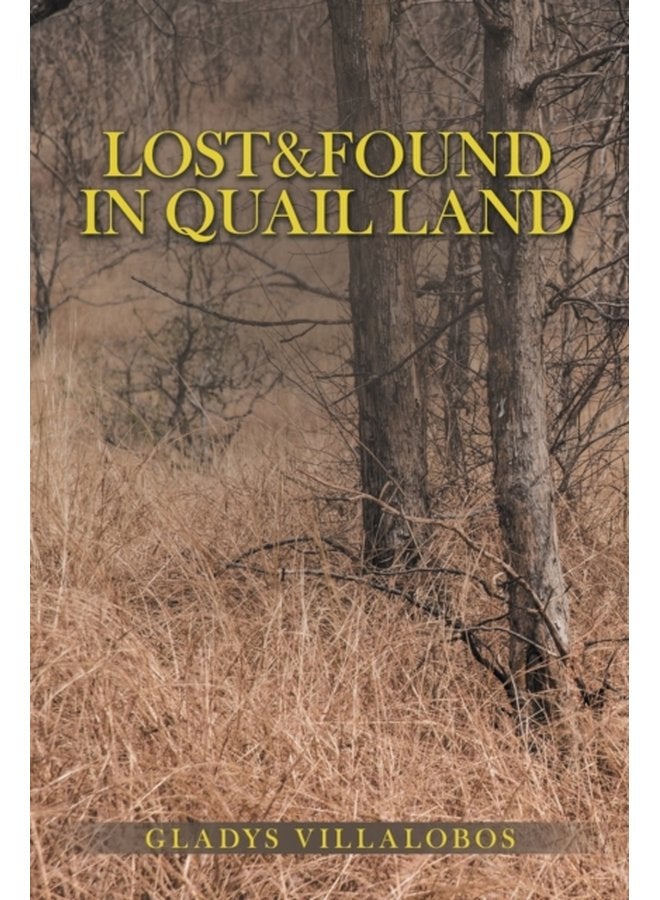 Lost Found in Quail Land - Paperback