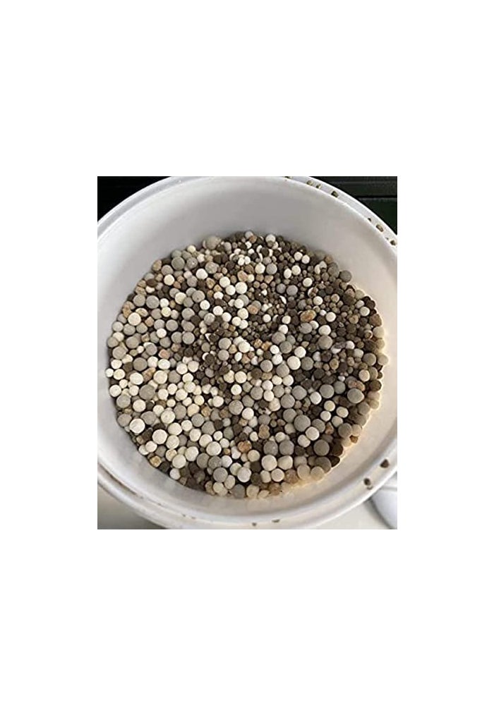 DESERT ENERGY Bougainvillea Feed Flower Blooming Booster Fertilizer - 1kg Slow Release Granular Fertilizer for Plant Growth - Image 2