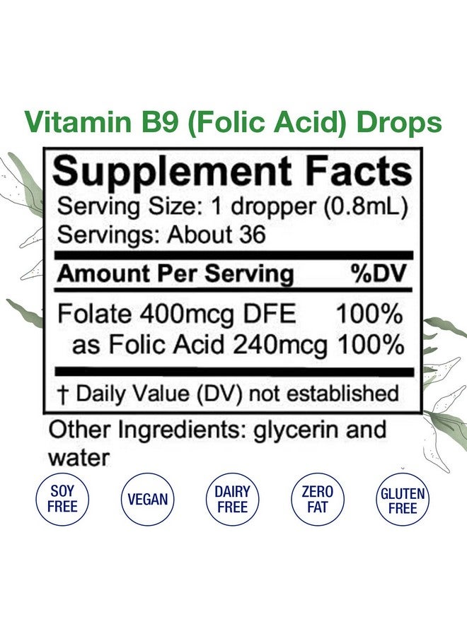 HoneyCombs Vitamin B9 (Folic Acid) Drops B Vitamin Liquid Folate Drops To Support Blood Cells Brain Function & Liver Liquid Vitamins For Pregnancy Alcoholfree Gluten Free Folic Acid Supplement 1 Fl Oz. - Image 3