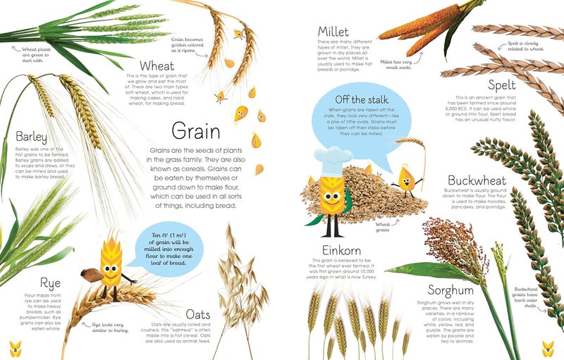 The Best Ever Bread Book: From Farm to Flour Mill, 20 Recipes from Around th - Image 2