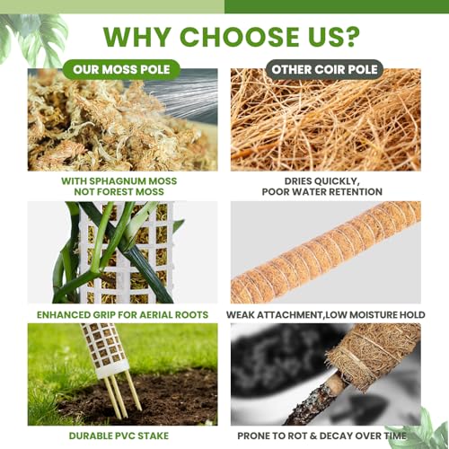 NZNDB Moss Pole Monstera Plant Support, 2Pack 17 Inch Self Watering Moss Pole for Climbing Plants, Stackable & Refillable Plastic Moss Poles for Garden Potted Planter, Pothos - Image 2