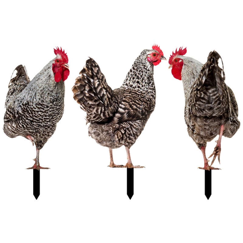 Adorable Chicken Shaped Stakes for Garden Decoration, Durable Acrylic Material - Image 1