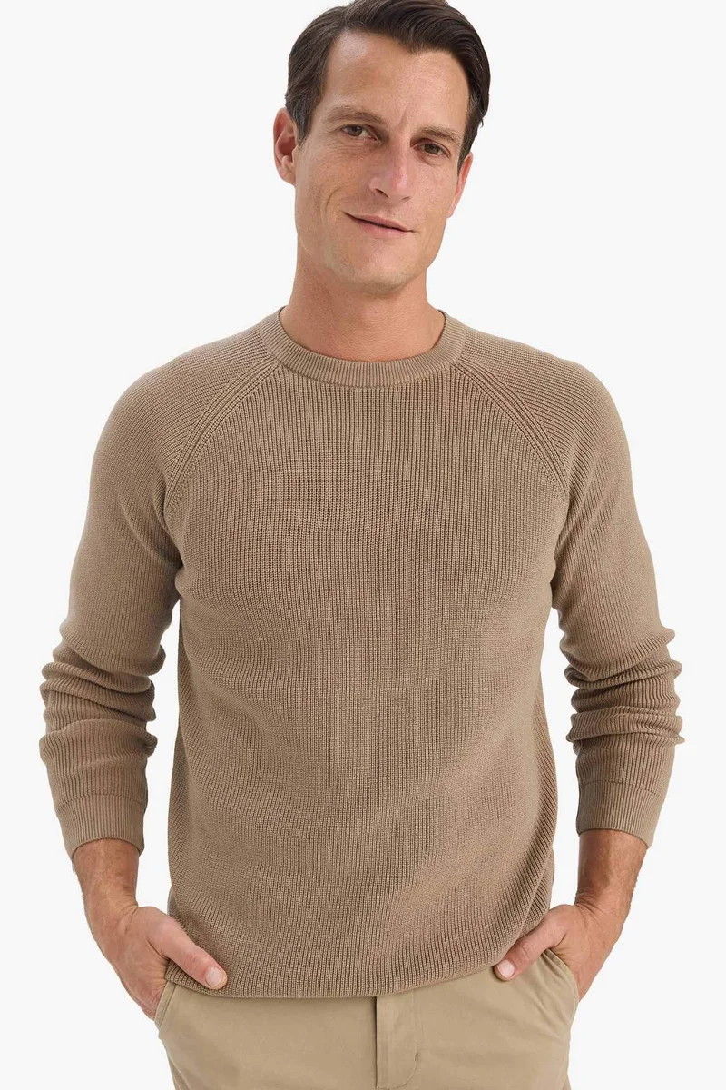 DeFacto Standard Fit Crew Neck Knitwear Pullover