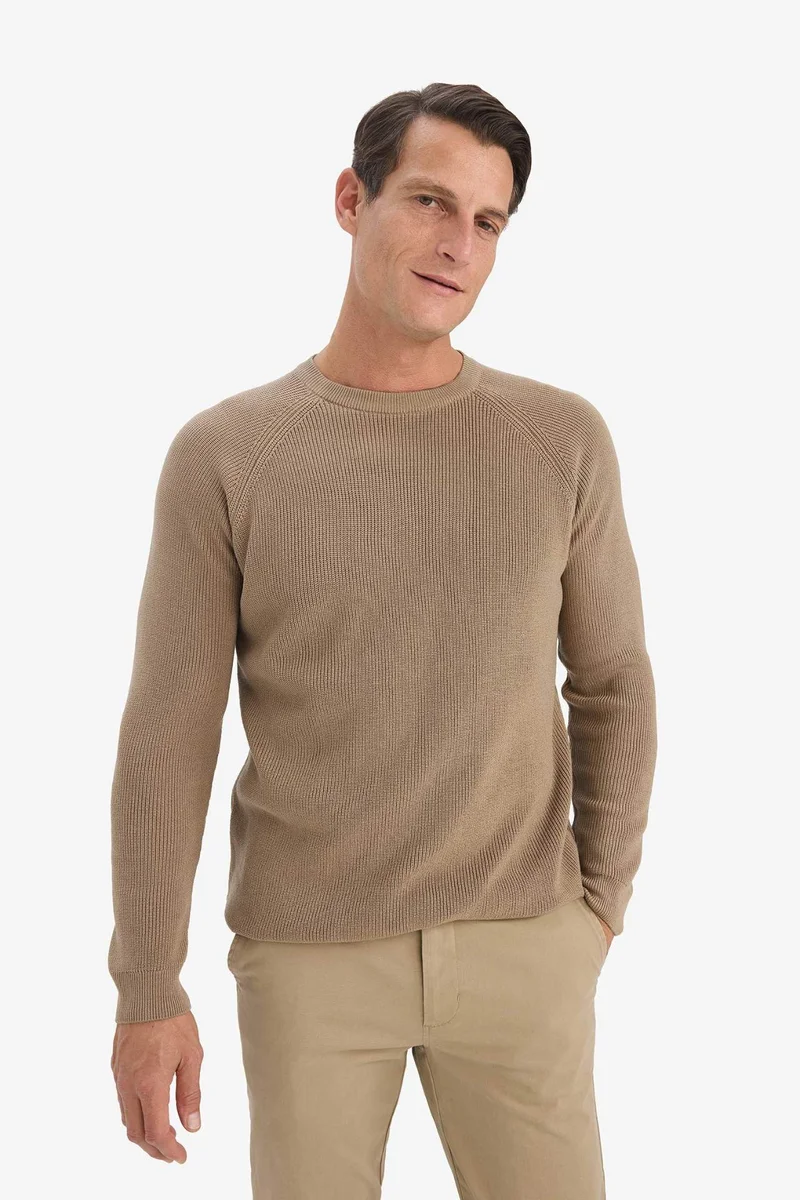 Defacto  Standard Fit Crew Neck Knitwear Pullover for Men | Best Price UAE