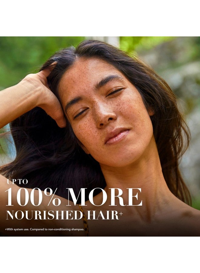 Herbal Essences Bio:Renew Rosemary And Herbs Shampoo, 400Ml, No Parabens No Colourants - Image 2