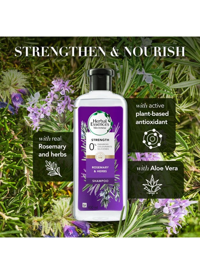 Herbal Essences Bio:Renew Rosemary And Herbs Shampoo, 400Ml, No Parabens No Colourants - Image 3