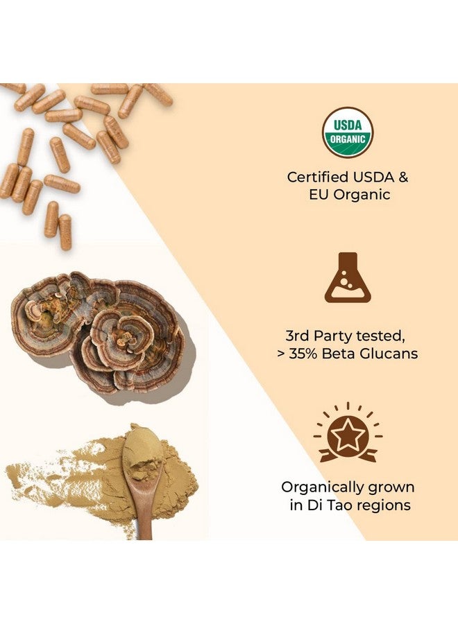 Rooted Rooted Turkey Tail mushroom Extract Capsules (60 Veg Caps, 500 mg) | Heart health, Stress Relief, Liver. USDA Organic, 30% Beta Glucans, Certified organic - Image 4