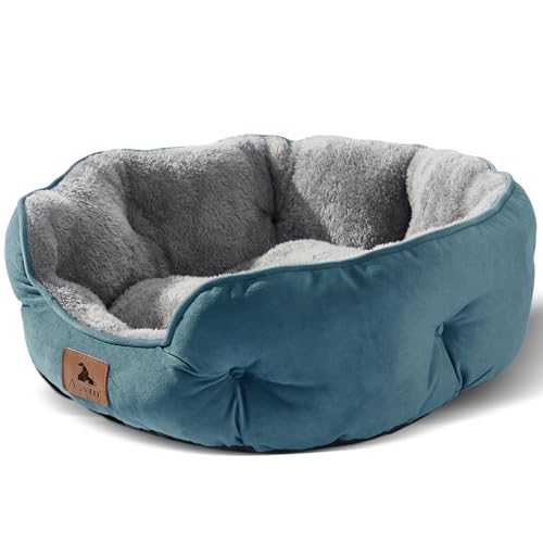 Asvin Small Dog Bed for Small Dogs, Cat Beds for Indoor Cats, Pet Bed for Puppy and Kitty, Extra Soft & Machine Washable with Anti-Slip & Water-Resistant Oxford Bottom, Teal, 20 inches - Image 1