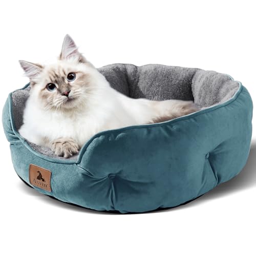Asvin Small Dog Bed for Small Dogs, Cat Beds for Indoor Cats, Pet Bed for Puppy and Kitty, Extra Soft & Machine Washable with Anti-Slip & Water-Resistant Oxford Bottom, Teal, 20 inches - Image 2
