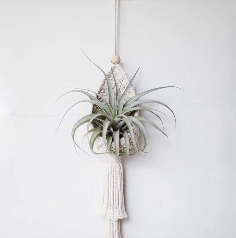 simpleSS 2 Pack Macrame Plant Hangers Air Plants Hanging Basket, Boho Macrame Wall Hanging for Indoor Outdoor Home Decor - Image 2