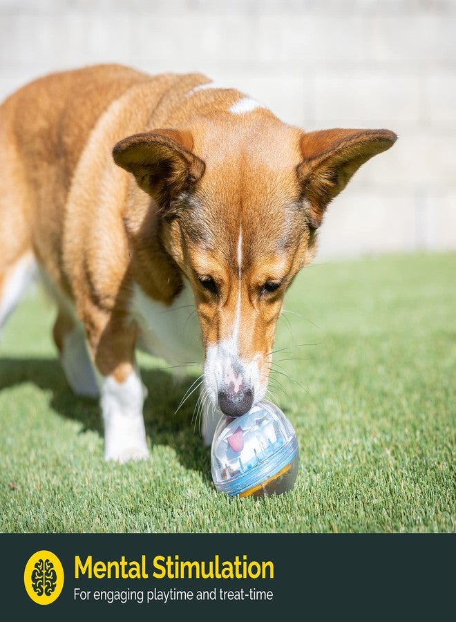 بت زون كرة المكافآت التفاعلية للكلاب من بيت زون آي كيو - موزع مكافآت على شكل أحجية بحجم 3 بوصات، متينة، وبطيئة التغذية، مناسبة لجميع سلالات الكلاب، ألعاب لإبقاء الكلب مشغولاً وإثراء حياته. - Image 2