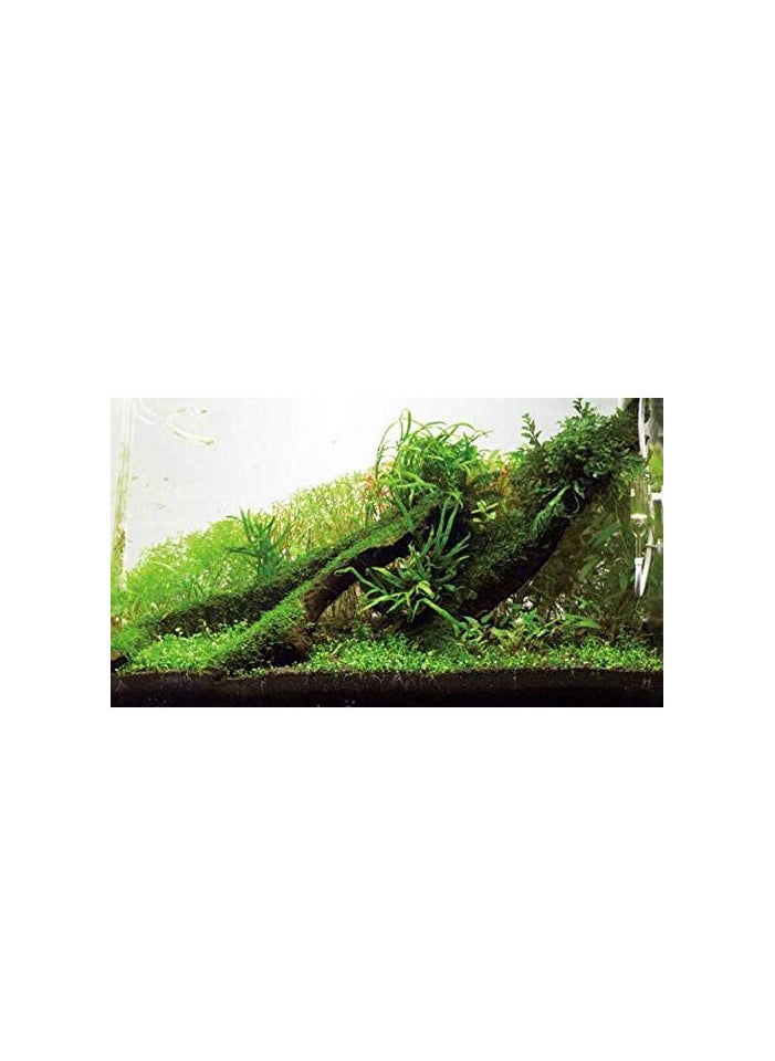 Aqua - Soil Designated For Ornamental Fish Pond Herbs 1 litter Dedicated To The Size Of Ornamental Fish Tanks - Image 1