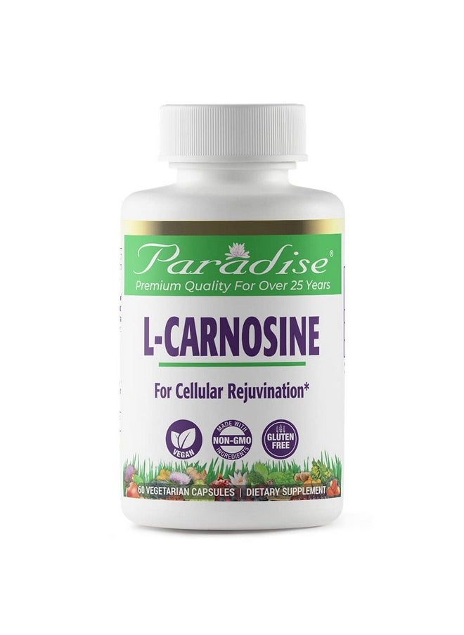 Paradise Herbs L Carnosine Antioxidant Vegan Non Gmo Gluten Free 60 Vegetarian Capsules  - Image 1