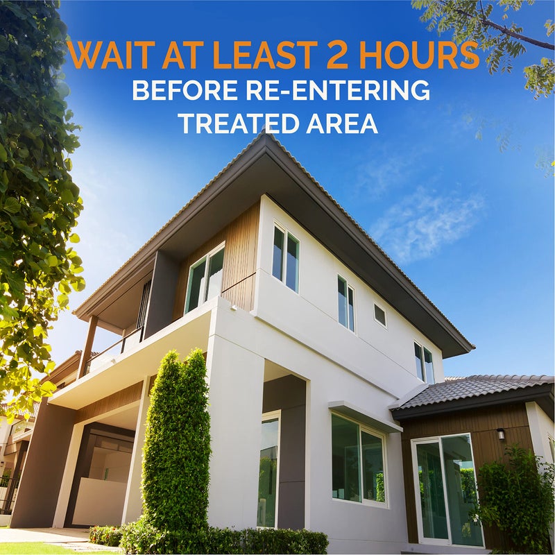 Hot Shot رذاذ مكافحة الآفات هوت شوت، يقتل الصراصير، النمل، العناكب وغيرها من الحشرات عند الاتصال، يتحكم في infestations الثقيلة في الداخل، عبوة 6 - 18 عدداً - Image 2