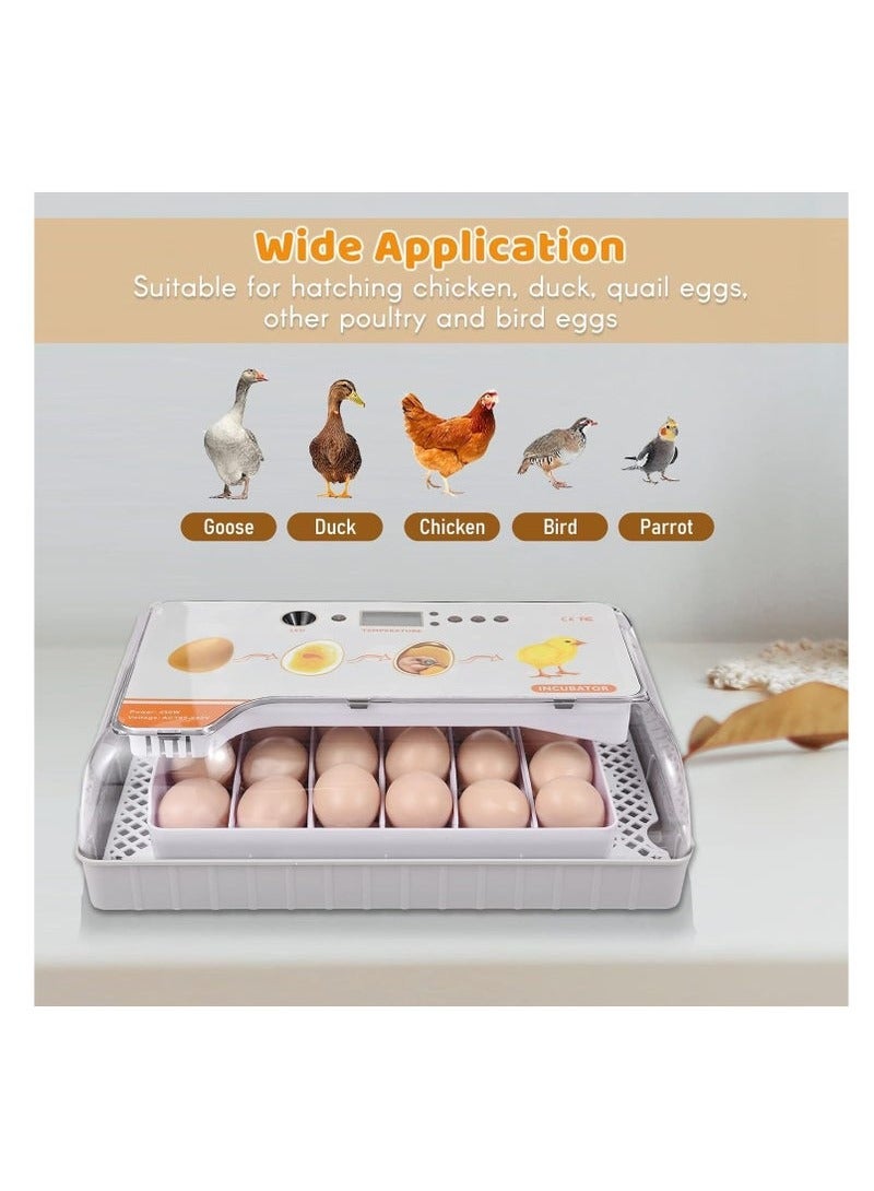 Generic Goreem Digital Egg Incubator 20 Eggs Poultry Hatcher with Auto Egg Turning Temperature Control LED Light Temperature Humidity Alarm Incubator for Chicken Ducks Bds Eggs  - Image 5