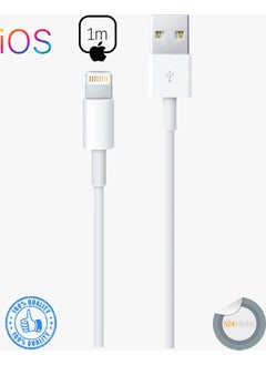 Paleon Lightning Charging Cable 1m 