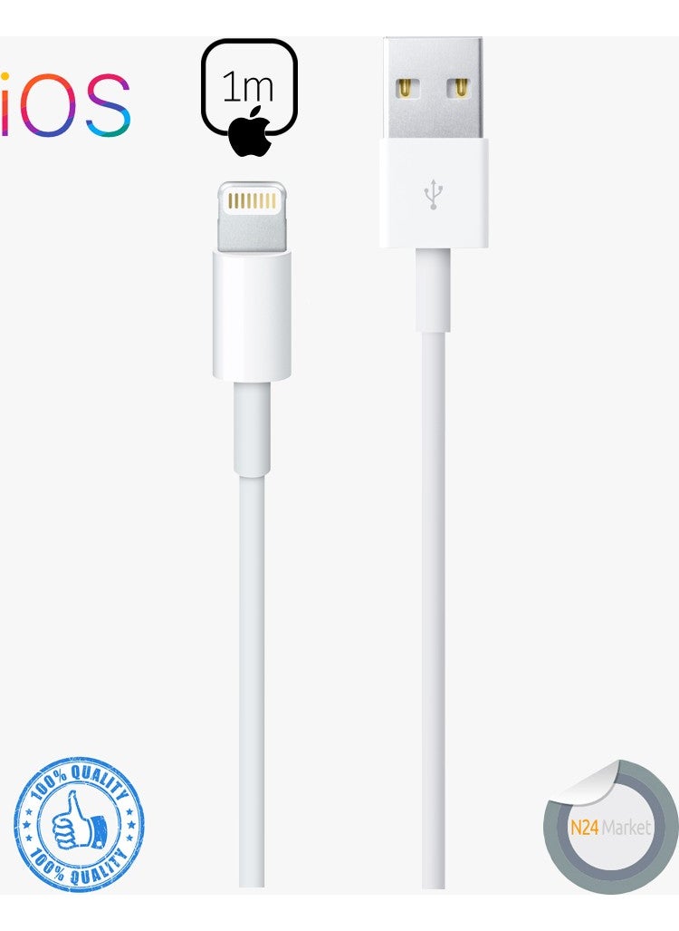 Paleon - Lightning Charging Cable 1m - Image 1