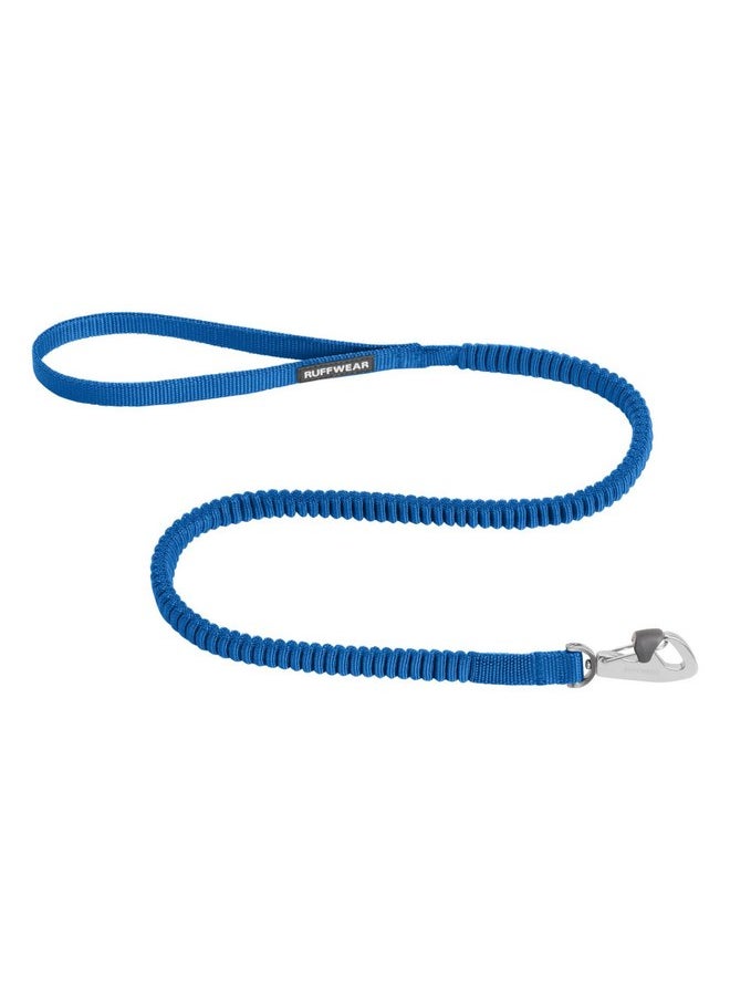 RUFFWEAR Ruffwear, Trail Runner Leash, Compact and Lightweight Stretch Webbing, Locking Crux Clip, Blue Pool, Large  - Image 1