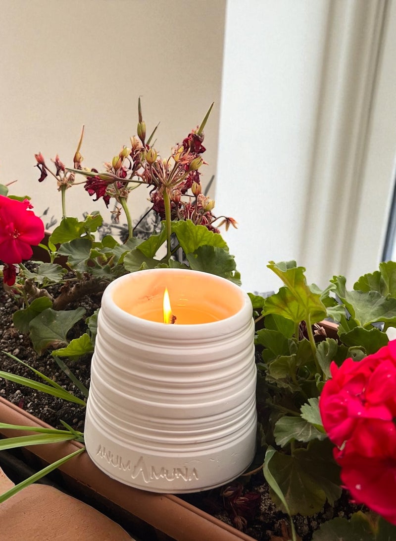 ANUM BY MUNA Luxury Musk Scented Candle in Carved Gypsum Vessel - 200g - Image 1