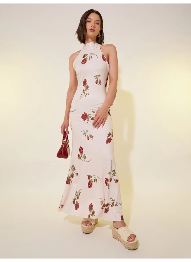 Take Two Take Two Floral Print Sleeveless A-Line Maxi Dress