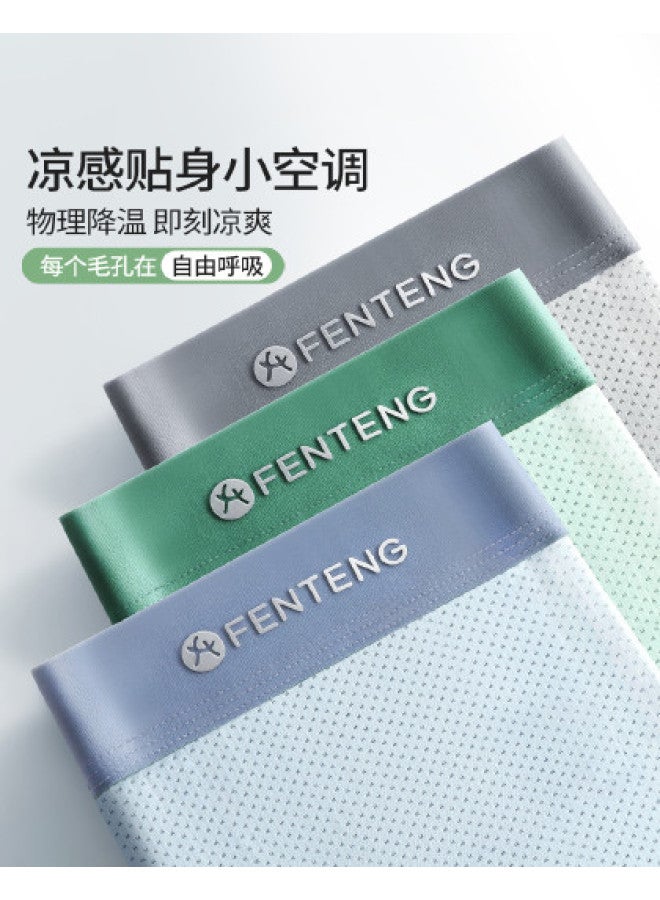 Fenton Fenteng  Men's Underwear Mid-rise Boxer Briefs Mesh Underwear Icy Silk Summer Thin Breathable Underwear - Image 1