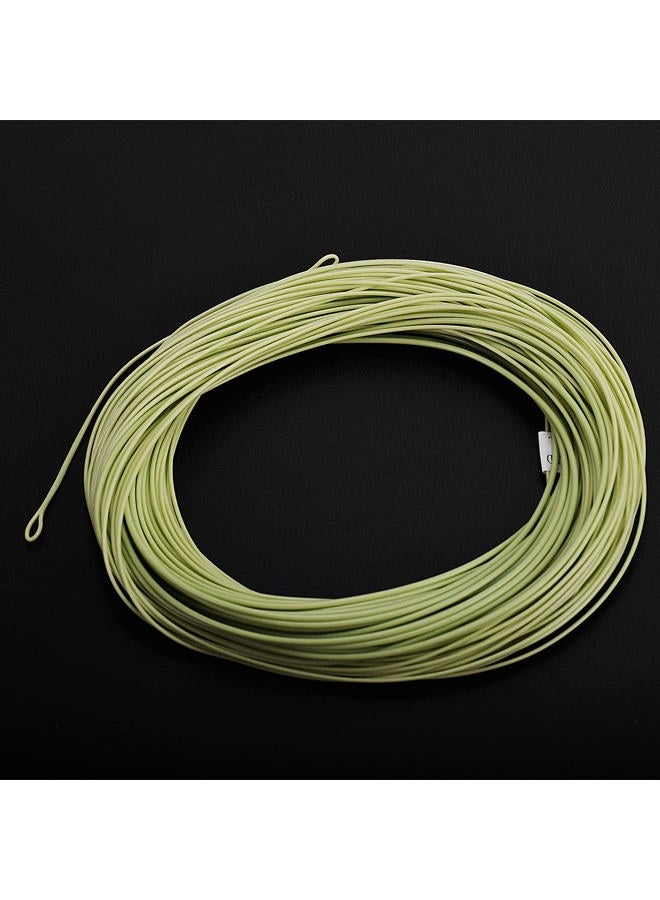 SF Weight Forward Floating Fly line Fly Fishing Line Moss Green 5wt 100FT Front Welded Loop - Image 5