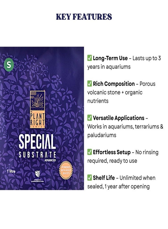 ركيزة خاصة من سلسلة "ذا بلانت رايت" | نباتات مائية نابضة بالحياة | الحل الأمثل لعشاق تنسيق أحواض السمك (1 لتر - صغير) - Image 4