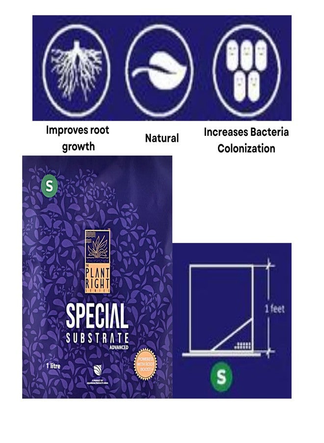 ركيزة خاصة من سلسلة "ذا بلانت رايت" | نباتات مائية نابضة بالحياة | الحل الأمثل لعشاق تنسيق أحواض السمك (1 لتر - صغير) - Image 3