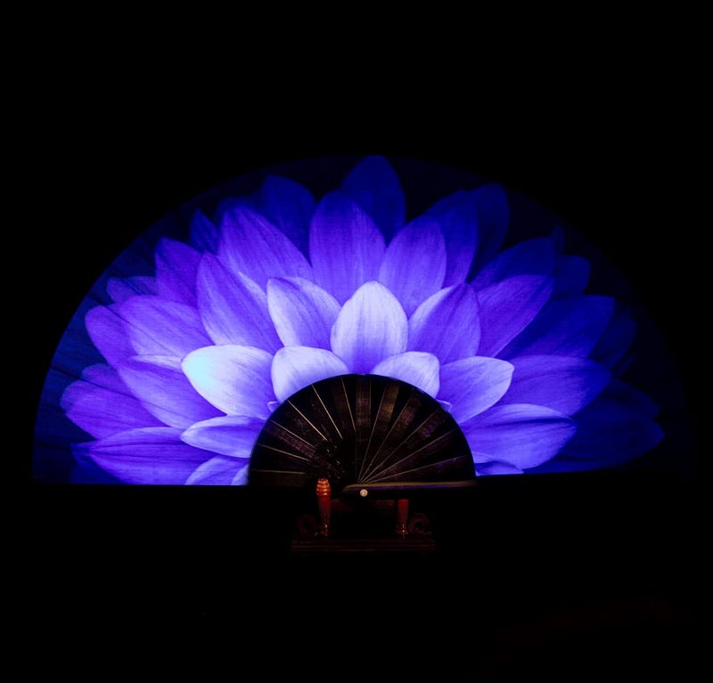 Amajiji Rave Folding Hand Fan Popping Fans for Line Dancing Large Clacking Fans Clap Fan for Boots On The Ground DancePartyDecorationFestival Blue Flower