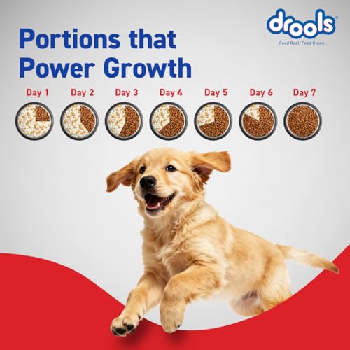 Drools Puppy Dry Dog Food 4.2kg (3kg + 1.2kg Free) | Chicken & Egg Flavour | Supports Active Behaviour | Digestive Health & Immunity | Better Digestibility - Image 5