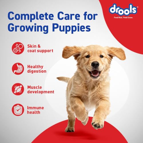 Drools Puppy Dry Dog Food 4.2kg (3kg + 1.2kg Free) | Chicken & Egg Flavour | Supports Active Behaviour | Digestive Health & Immunity | Better Digestibility - Image 4