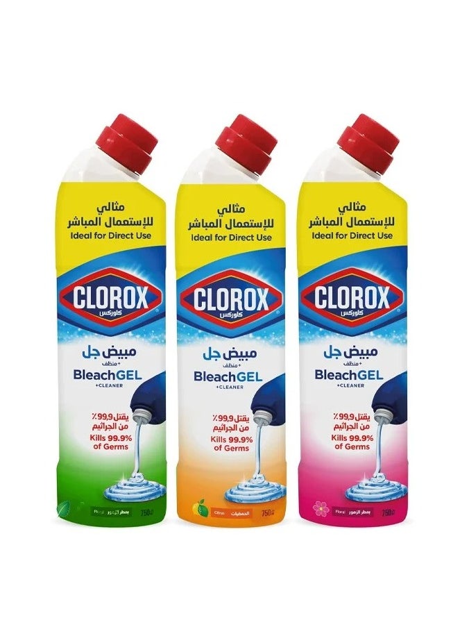 Clorox Clorox multi-purpose cleaning gel set, 3*750 ml 