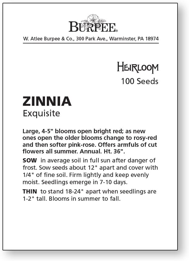 Burpee Exquisite Zinnia Seeds 100 seeds - Image 4