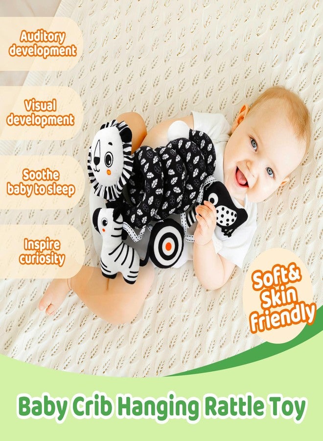 FQKIOMY Black and White High Contrast Baby Toys - Sensory Infant Hanging Carseat & Stroller Toy for Newborns 0-6,6-12Months Perfect Easter Birthday & Baby Shower for Babies Boys Girls - Image 2