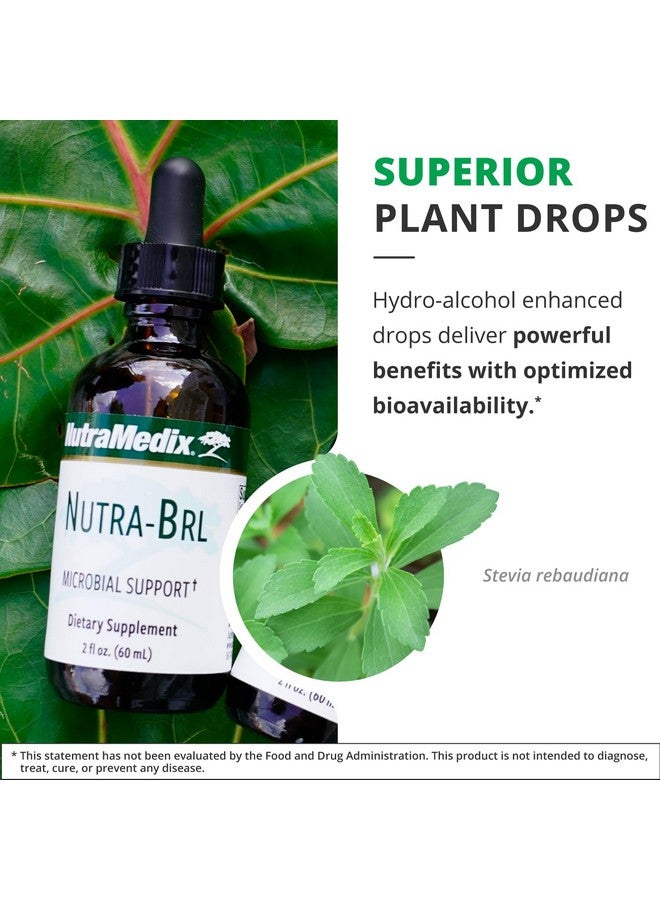 Nutramedix Nutra BRL - Liquid Herbal Supplement for Gut Health & Immune Support - Samento & Banderol for Digestive Health - Immune System Booster Supplement (60mL) - Image 5