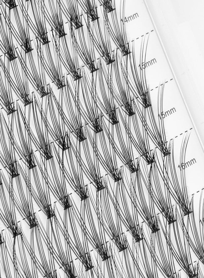 WONSIS 20D Lash Clusters, Individual Lashes, 240 Pcs 20D Individual Lash Extensions, Volume Soft Lightweight Reusable DIY Eyelash Extensions, Thickness 0.07mm C Curl False Eyelashes 12/13/14/15/16mm - Image 2