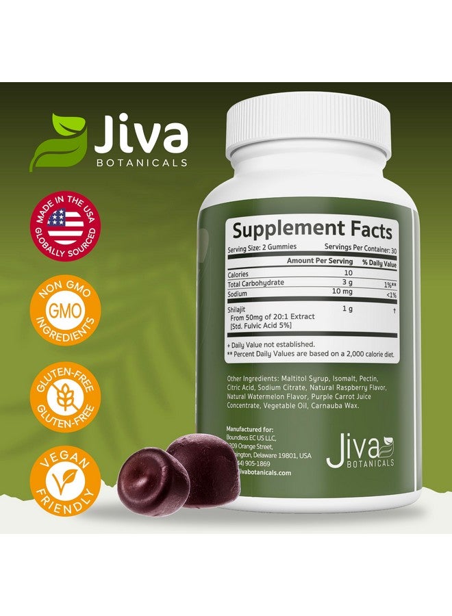 Jiva BOTANICALS Jiva Pure Himalayan Shilajit Gummies for Men & Women - Pure Shilajit Gummies 1000mg for Healthy Aging, Immune System & Normal Energy Support - Sugar-Free, Vegan, Made in The USA (60 Count) - Image 5