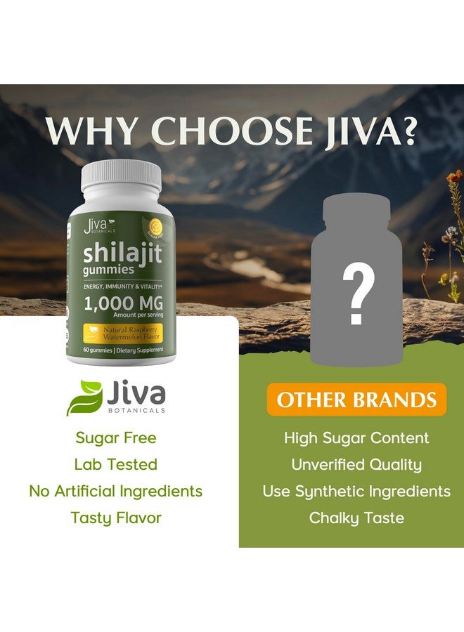 Jiva BOTANICALS Jiva Pure Himalayan Shilajit Gummies for Men & Women - Pure Shilajit Gummies 1000mg for Healthy Aging, Immune System & Normal Energy Support - Sugar-Free, Vegan, Made in The USA (60 Count) - Image 4