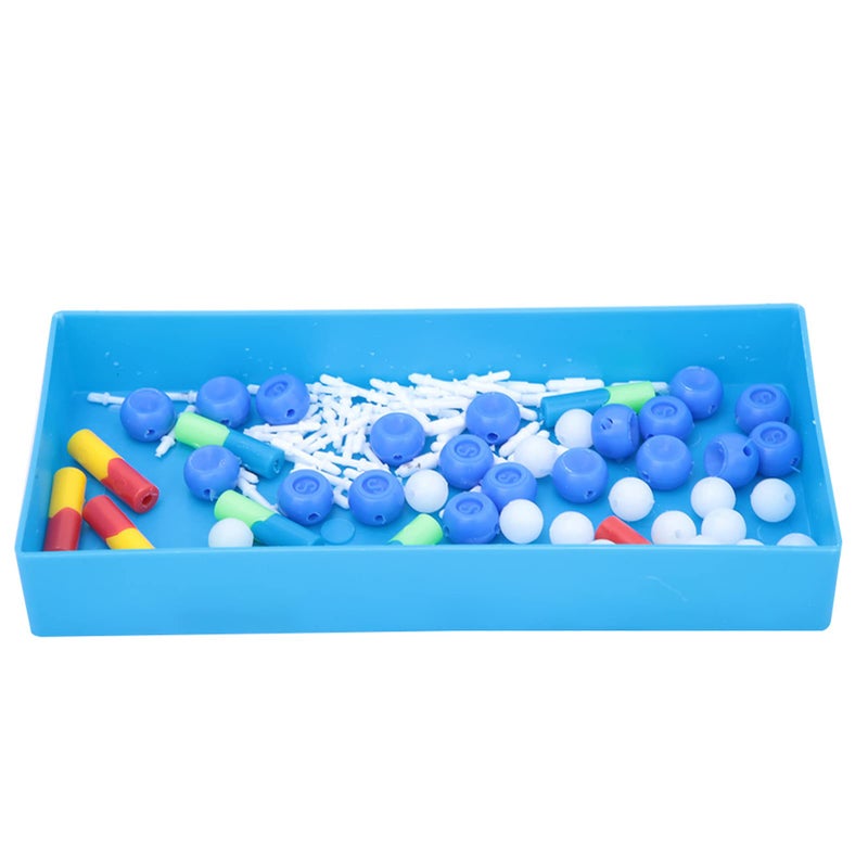 Detailed DNA Double Structure Model For Biology Teaching And Laboratory Research - Image 4