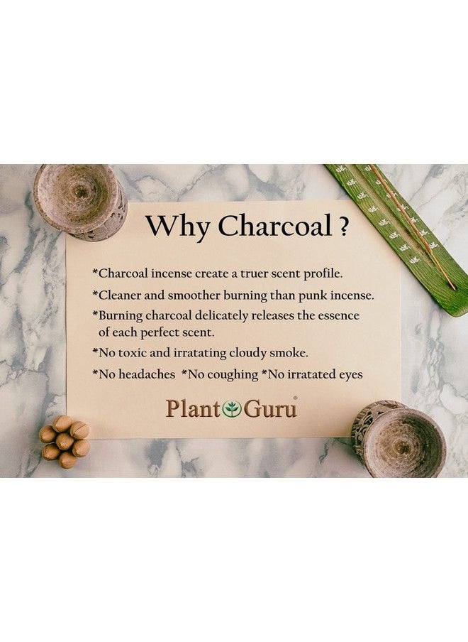 Plant Guru Frankincense Charcoal Incense Cones 2" Backflow 60 Pack Bulk Natural Scented Cones Handmade Hand Dipped  - Image 4