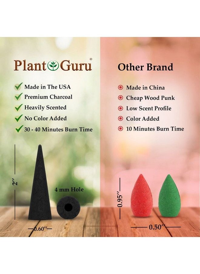 Plant Guru Frankincense Charcoal Incense Cones 2" Backflow 60 Pack Bulk Natural Scented Cones Handmade Hand Dipped  - Image 3