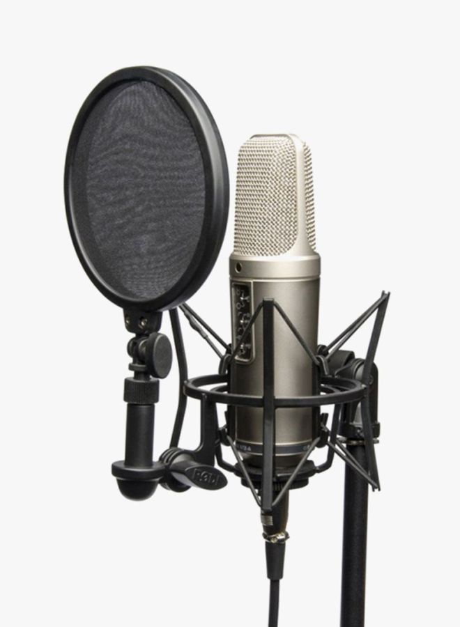 RODE Microphones NT2-A silver - Image 4