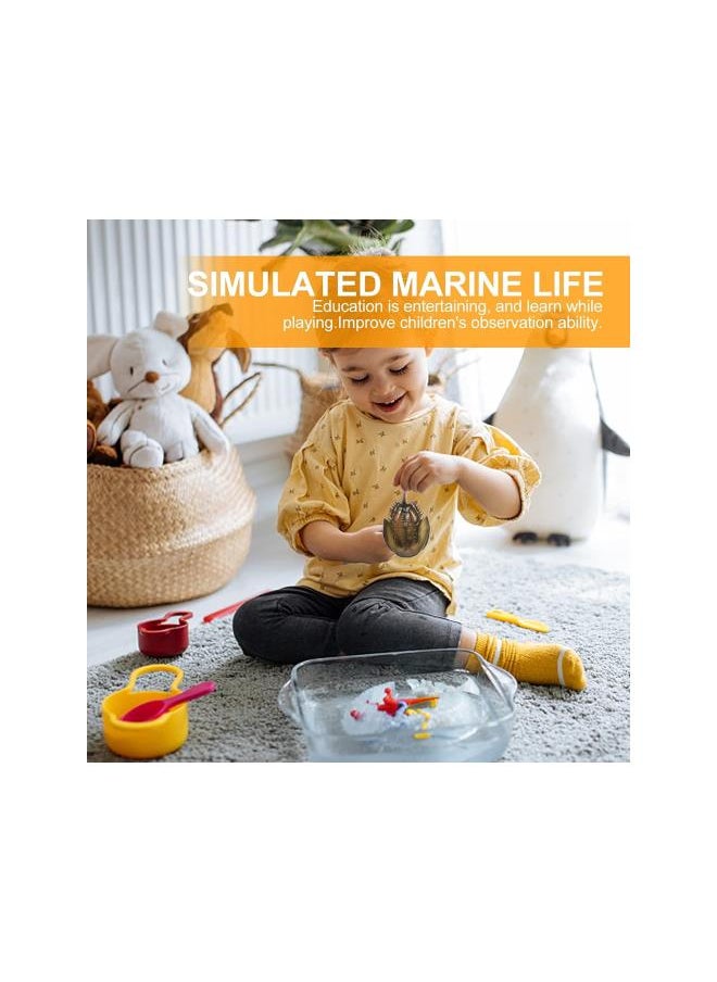 silvercnc - 1 Set Growth Cycle Ocean Animal Growth Biological Model Toys Lifelike Horseshoe Crab Life Cycle Toy for Kids Education Marine Sea Beach Party Favors - Image 1