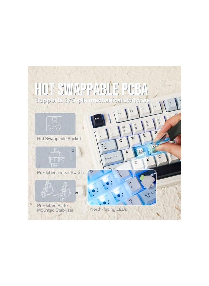 erorex x AULA F75Mechanical Keyboard, 75% Wireless Hot Swappable Gaming Keyboard with Five-Layer Padding&Knob, Bluetooth/2.4GHz/USB-C, RGB (Light Blue, LEOBOG Reaper Switch) - Image 4