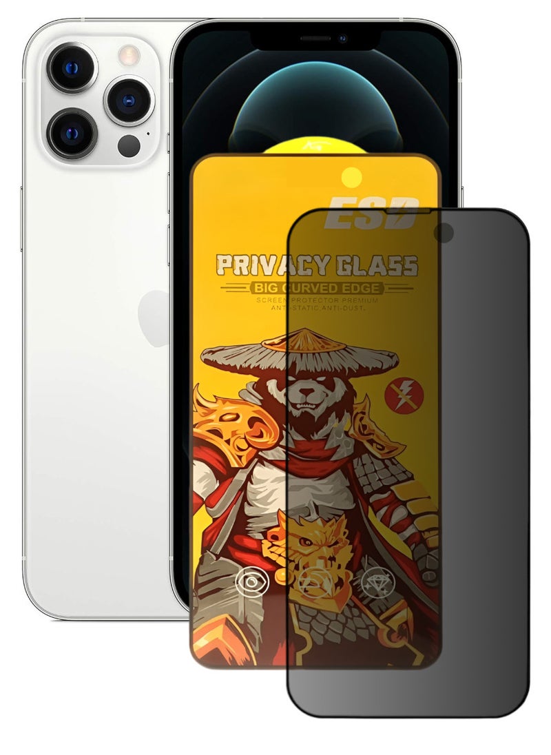 ESD Tempered Dustproof Privacy Glass Screen Protector Compatible For iPhone 12 Pro - Image 1