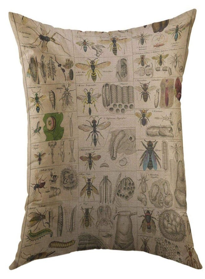 Mugod Decorative Throw Pillow Cover for Couch Sofa,Biology Vintage Insects Entomology Taxonomy Nature Home Decor Pillow case 18x18 Inch - Image 1