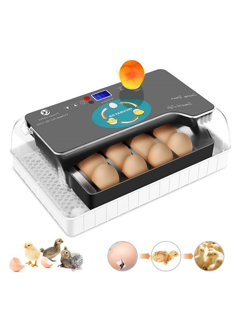 Generic Digital Egg Incubator 12 Eggs, Poultry Hatcher with LED Display, Automatic Incubation Equipment for Hatching Chickens, Ducks, Geese, Quail, Pigeons ，12-16 egg  - Image 1